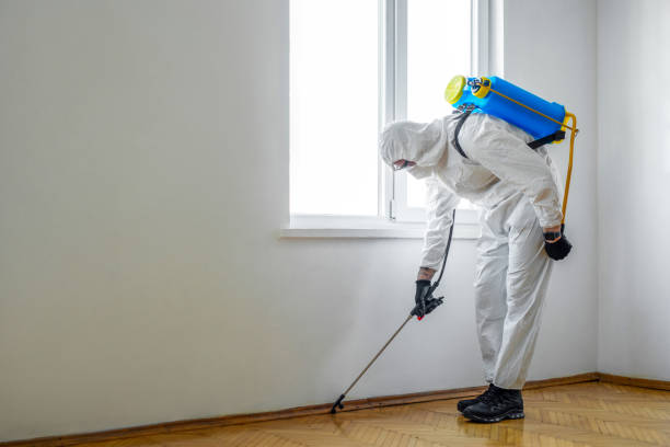 Best Real Estate Pest Inspections  in New Paris, IN